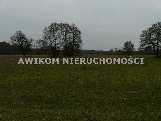 Działka rolna Doleck gm. Nowy Kawęczyn