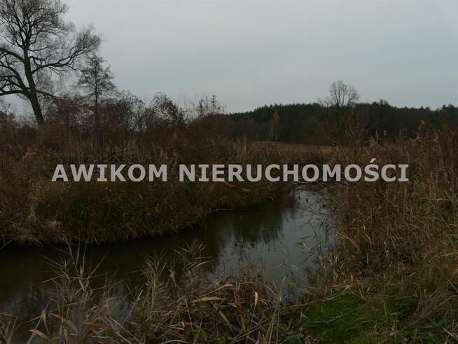 Działka rolna Doleck gm. Nowy Kawęczyn