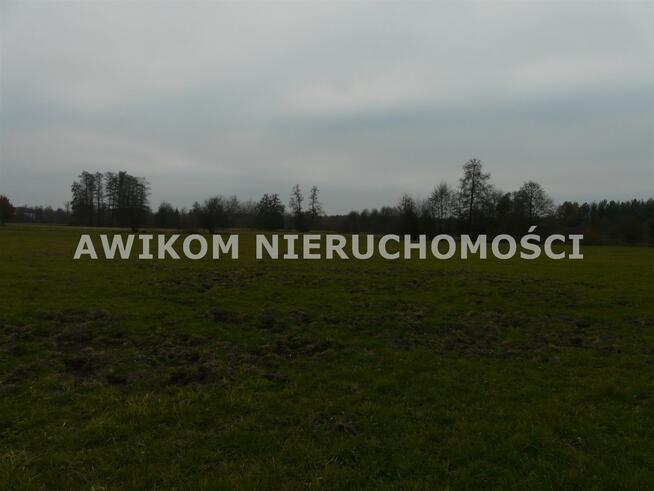 Działka rolna Doleck gm. Nowy Kawęczyn