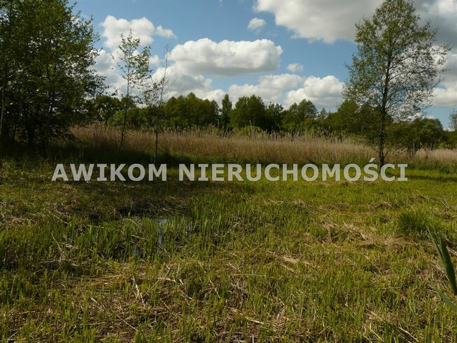 Działka budowlana Sewerynów gm. Nowy Kawęczyn