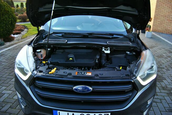 Ford Kuga NAVI-PL * Kamera cof. * Klima tronik x 2 * Park tronik * LEDY * Rej-pL