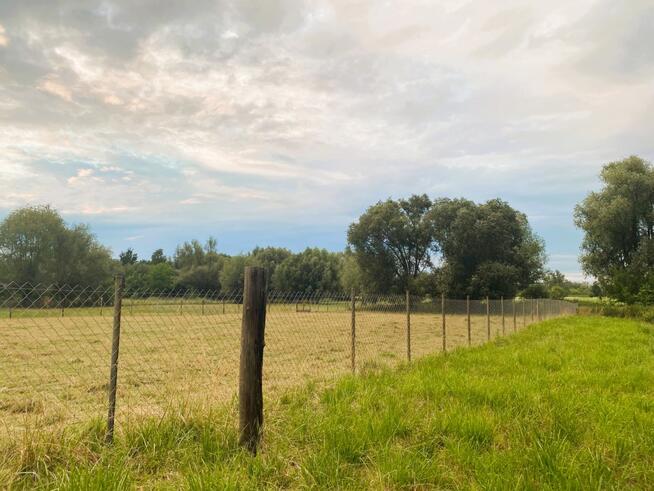 Nieruchomość 16 650 m2 działki budowlane i rolna