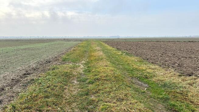 Stępków działka rolna, Gm. Dębowa Kłoda