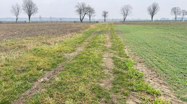 Stępków działka rolna, Gm. Dębowa Kłoda