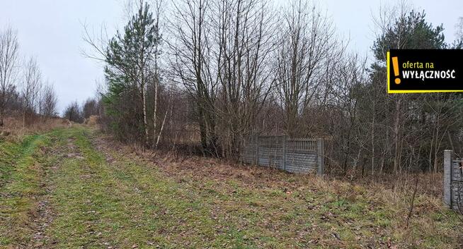 Działka inwestycyjna Czerwona Górka gm. Łączna,