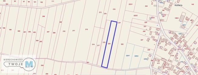 Działka Gnojno Kostera