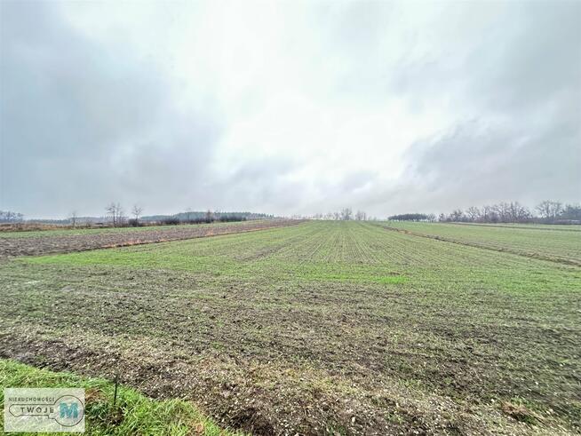 Działka Gnojno Kostera