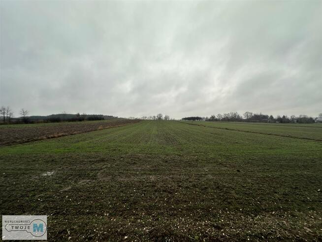 Działka Gnojno Kostera