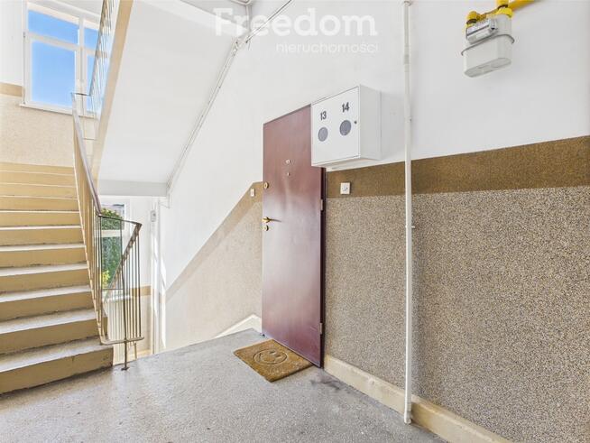 Ogromne mieszkanie w centrum Elbląga