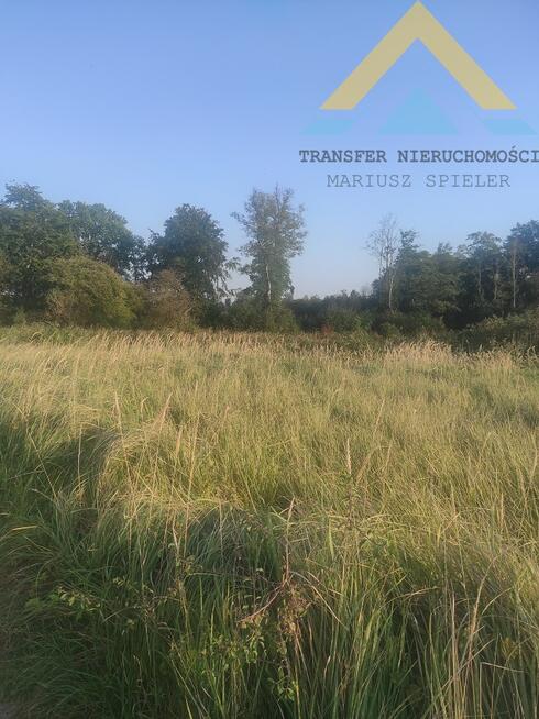 Działka z potencjałem Pławienko 2,85 ha,120 tys.!