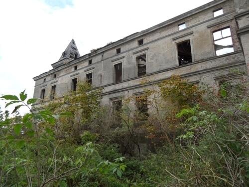 Pałac Wierzbięcin,gm.Nowogard,park-do remontu