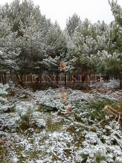 Atrakcyjna działka budowlana 3600 m² - Groszowice