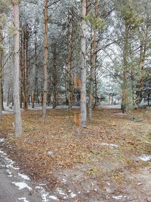 Atrakcyjna działka budowlana 3600 m² - Groszowice