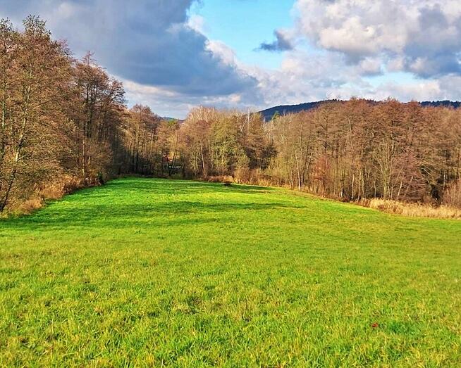 Na sprzedaż działka budowlana po podziale – 16 ar – Załuż, p