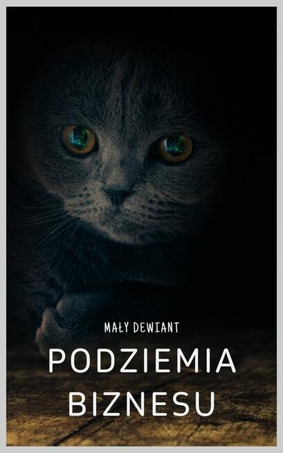 e-book Cybergia: Nowy Sens epicka powieść