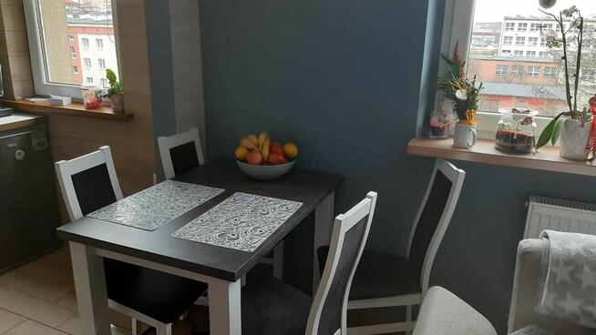 Do wynajęcia mieszkanie w Czeladzi