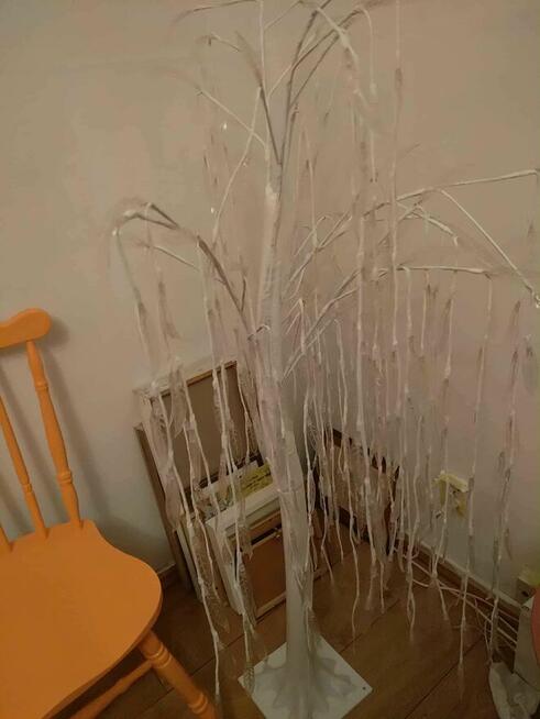 Drzewko świetlne, wierzba