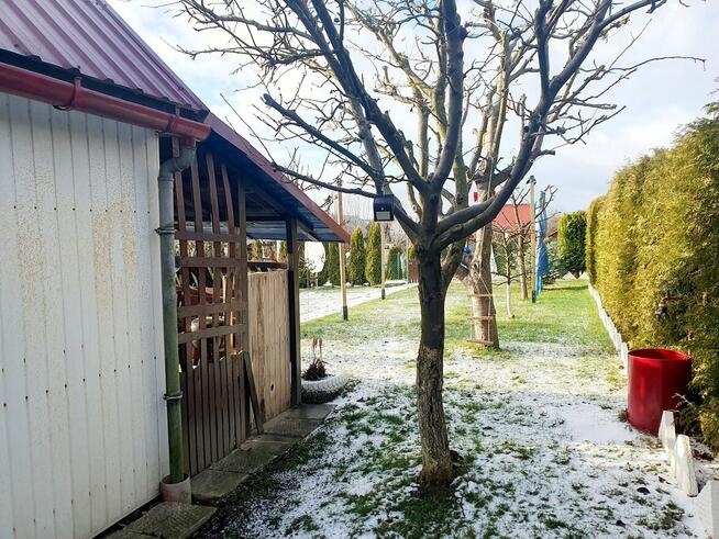 Działka ROD Szarotka