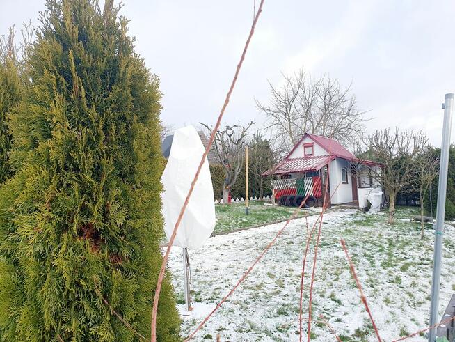 Działka ROD Szarotka