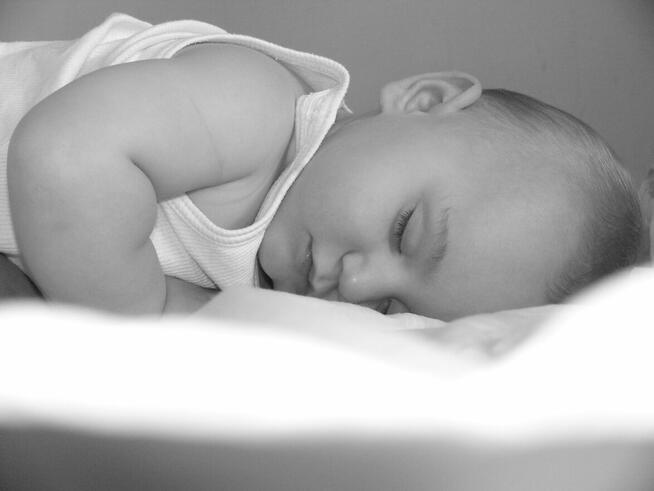 Fotograf. Reportaże. Imprezy okolicznościowe.