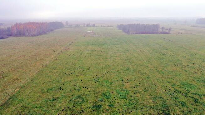 Działka rolna Siedliska gm. Wydminy