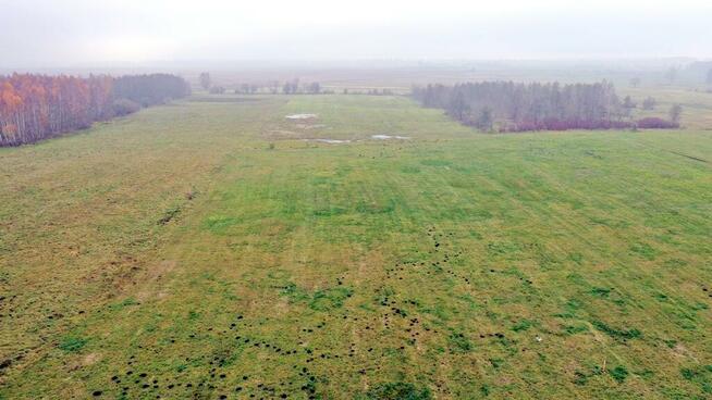 Działka rolna Siedliska gm. Wydminy