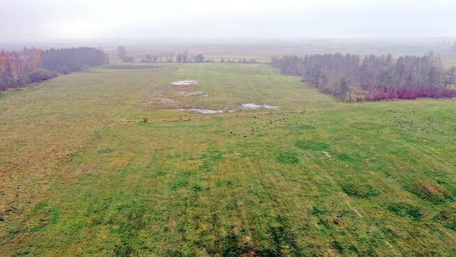 Działka rolna Siedliska gm. Wydminy