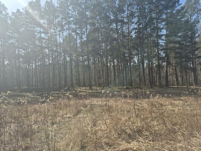 Działka budowlana Duchnów gm. Wiązowna