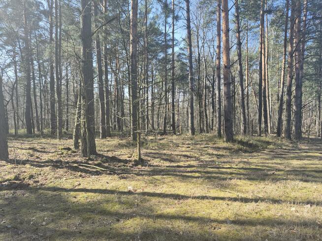 Działka budowlana Duchnów gm. Wiązowna