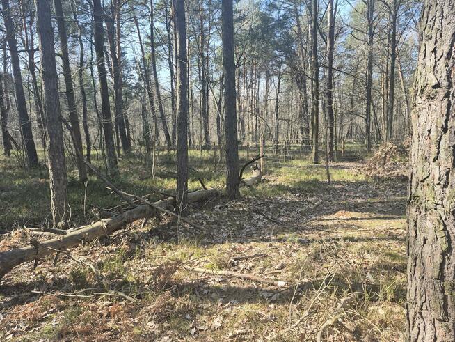 Działka budowlana Duchnów gm. Wiązowna