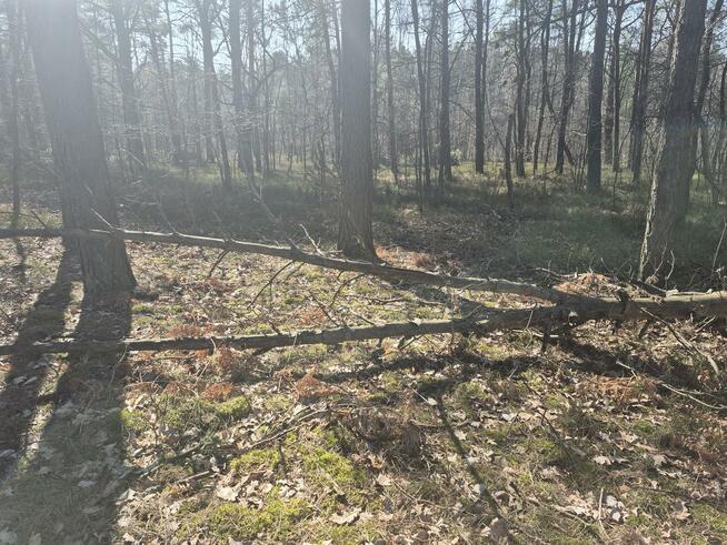 Działka budowlana Duchnów gm. Wiązowna