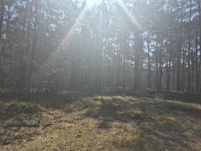 Działka budowlana Duchnów gm. Wiązowna