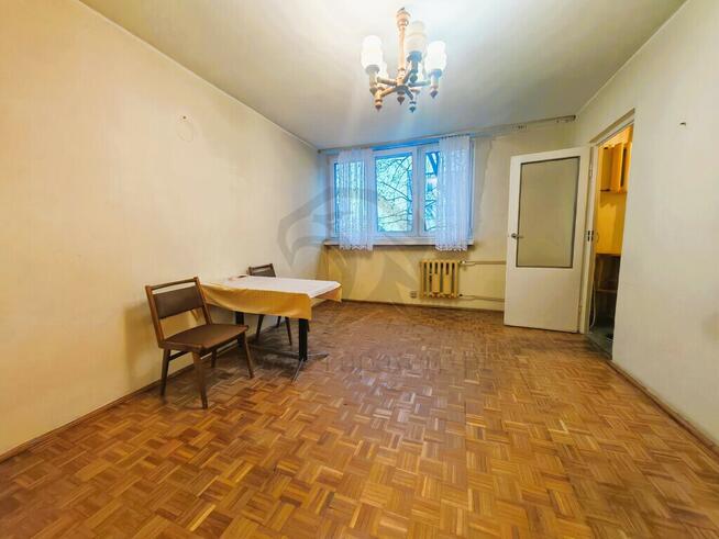 Serio - od zera i po swojemu