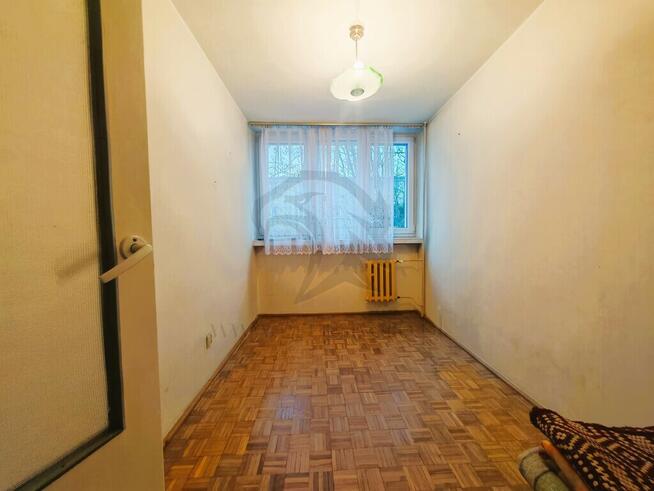 Serio - od zera i po swojemu