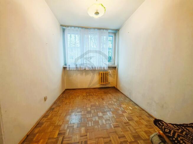 Serio - od zera i po swojemu