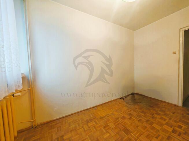 Serio - od zera i po swojemu