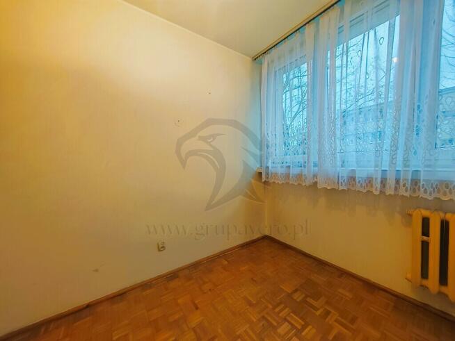 Serio - od zera i po swojemu