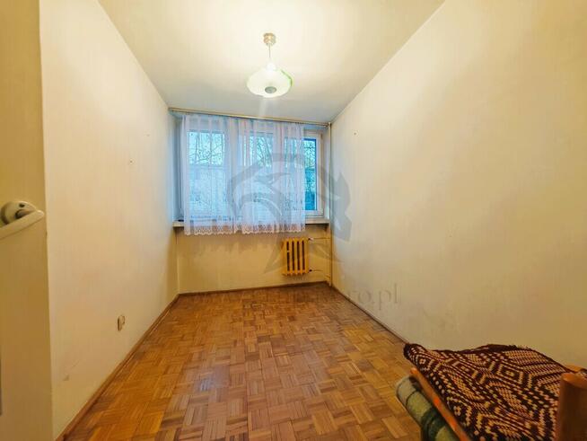 Serio - od zera i po swojemu