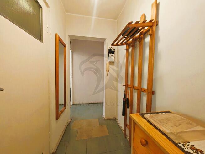 Serio - od zera i po swojemu