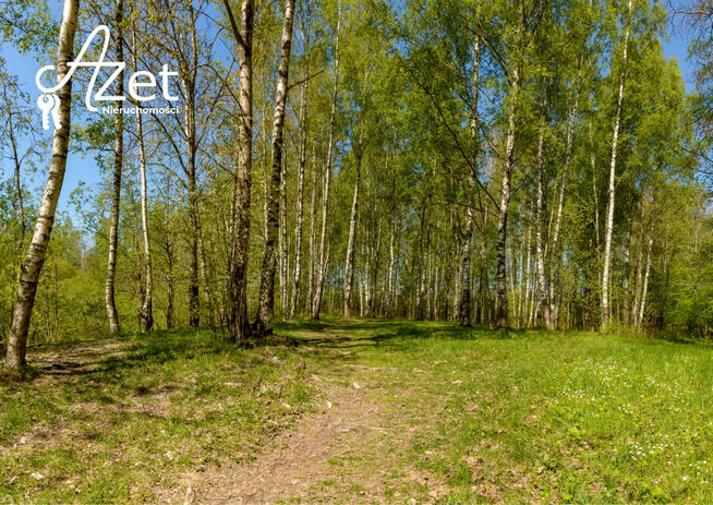 Działka budowlana Gronowo gm. Rybno,