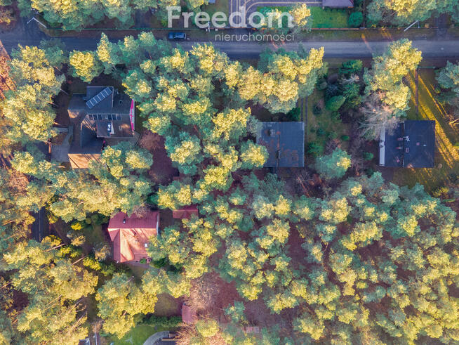 Miejsce na dom wśród zieleni