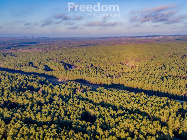 Miejsce na dom wśród zieleni