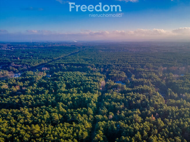 Miejsce na dom wśród zieleni