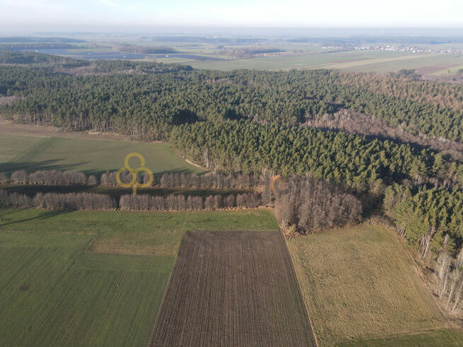 Działka rolna Krzycko Wielkie gm. Włoszakowice,