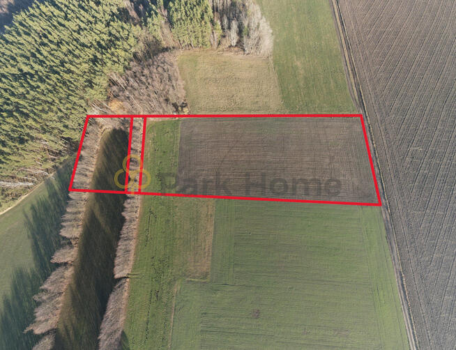 Działka rolna Krzycko Wielkie gm. Włoszakowice,