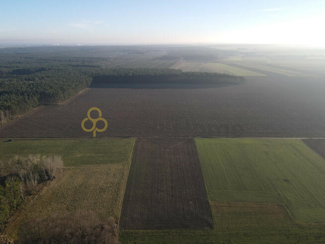 Działka rolna Krzycko Wielkie gm. Włoszakowice,