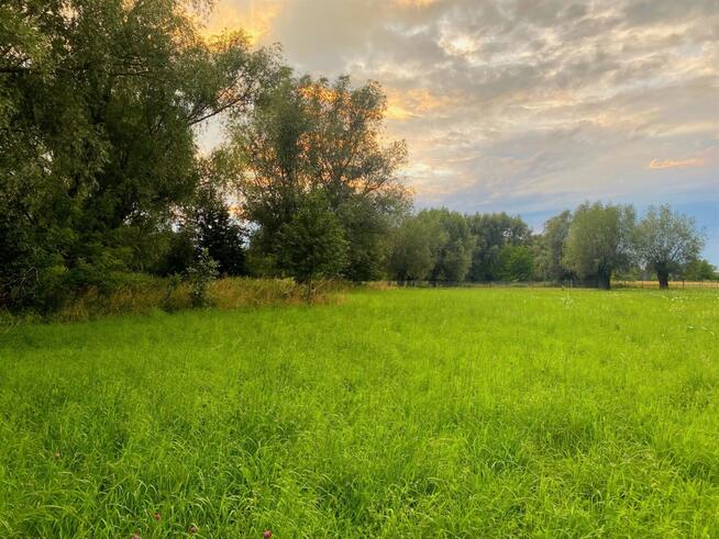 Nieruchomość 16 650 m2 działki budowlane i rolna