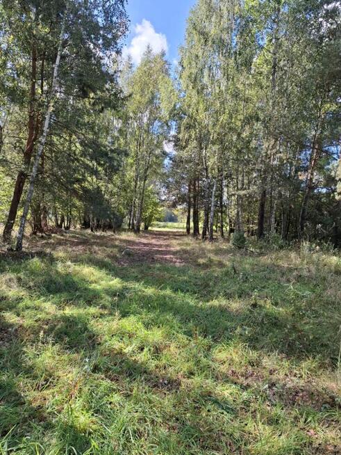 Działki na sprzedaż Sokóle