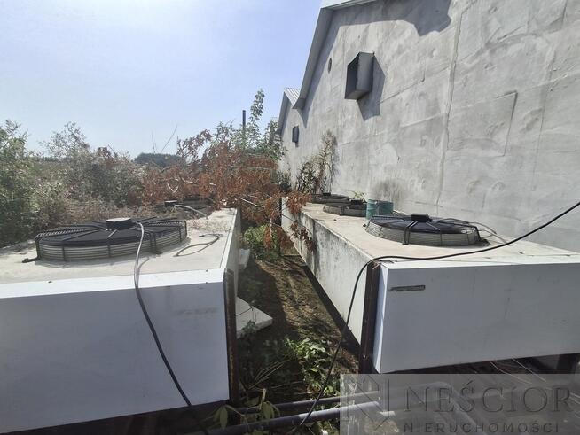 Nieruchomość po pieczarkarni/ Strusy/ Paprotnia