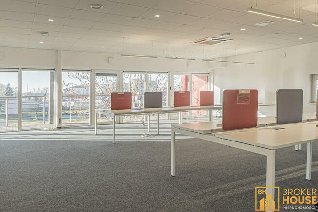 Lokal użytkowy Opole